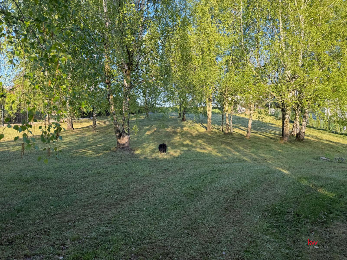 107901023 Idealna działka budowalna