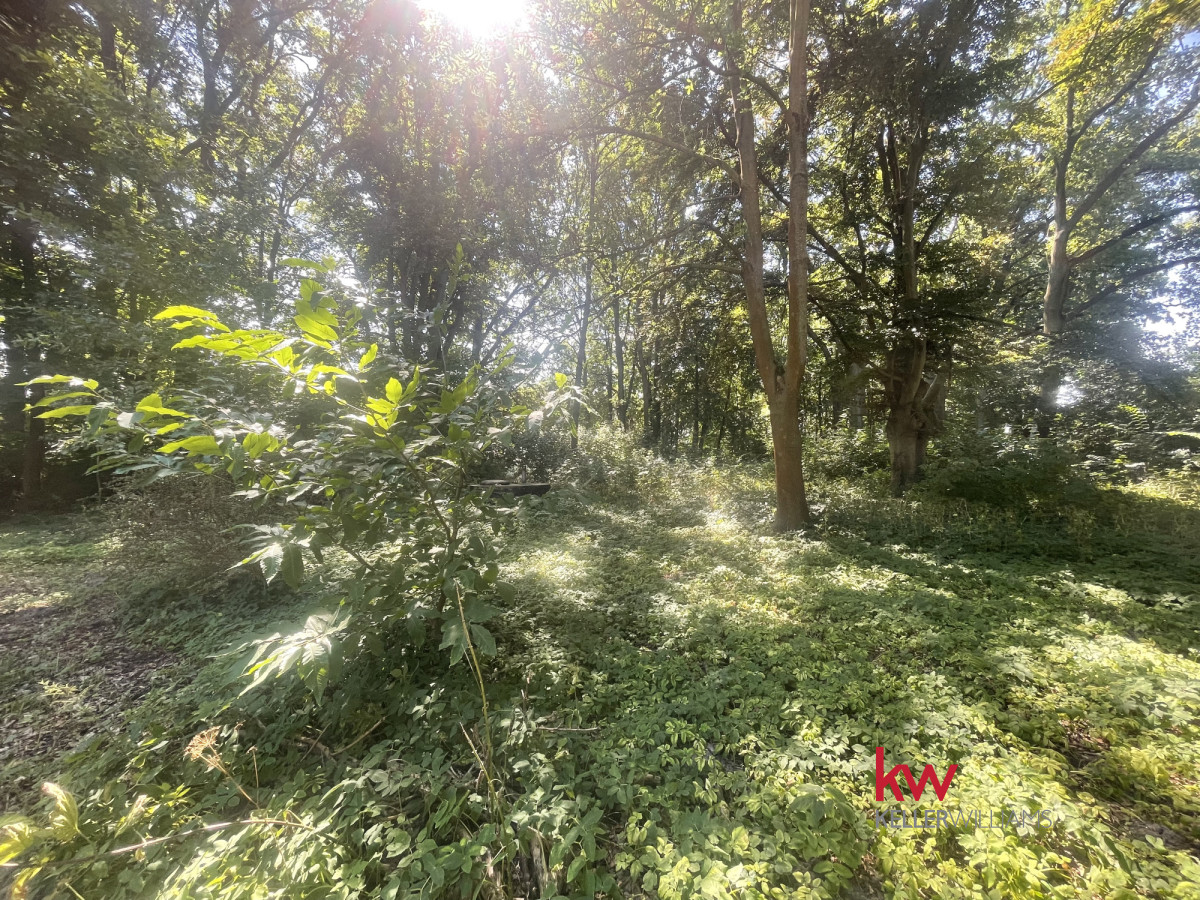 74022527 Dla inwestora lub prywatna rezydencja z parkiem