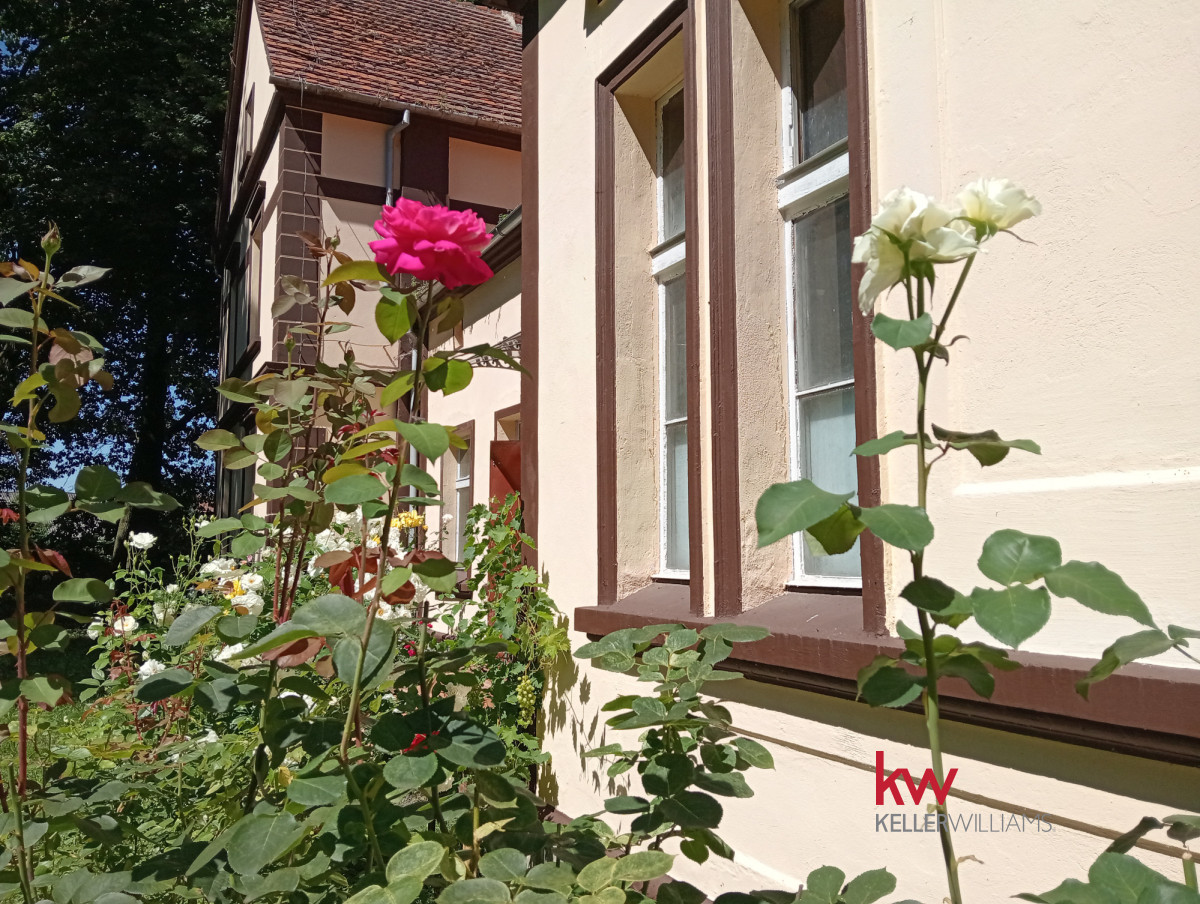 74025431 Dla inwestora lub prywatna rezydencja z parkiem
