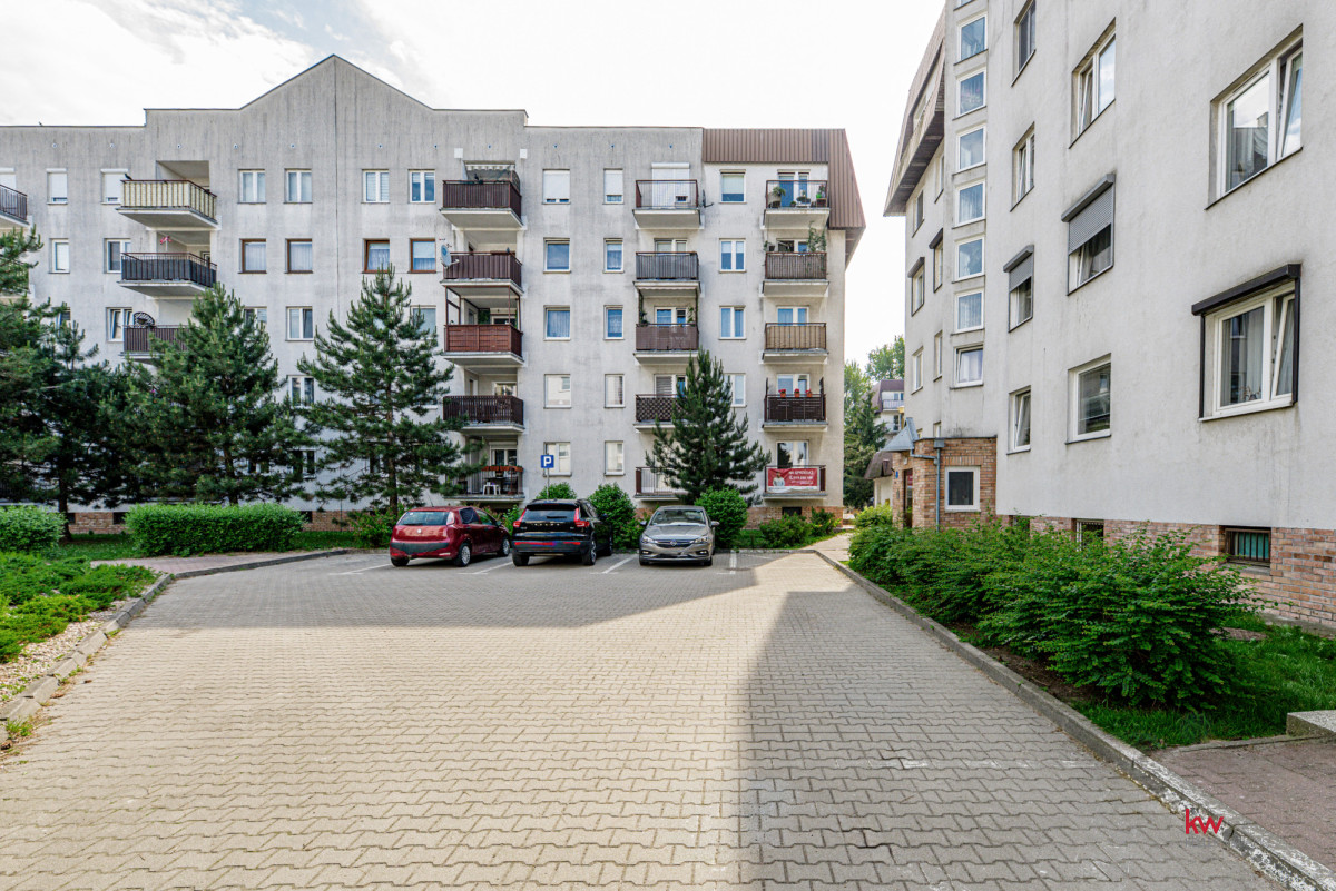 Wyremontowane 3 pokoje | Wysoki parter | Piątkowo