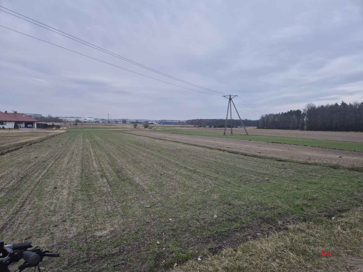 Działka pod lasem | Tychy ul. Barwna
