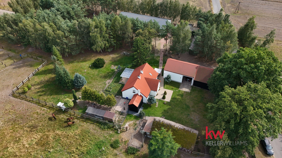 Stadnina z Duszą i Potencjałem inwestycyjnym