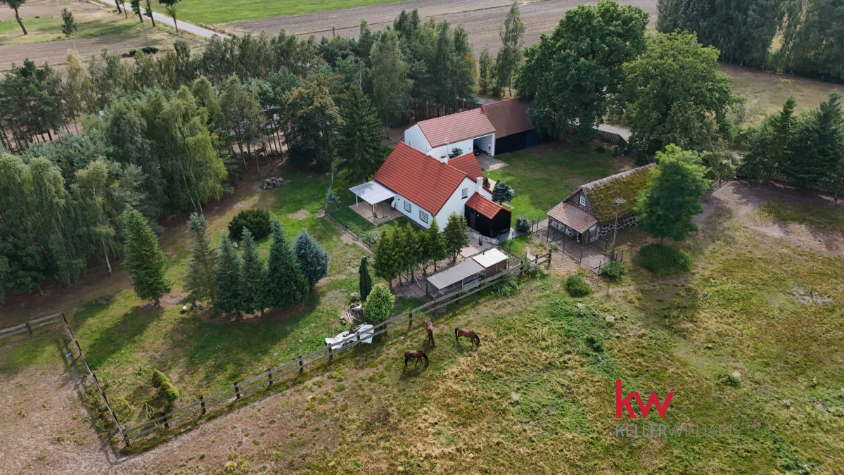 Stadnina z Duszą i Potencjałem inwestycyjnym