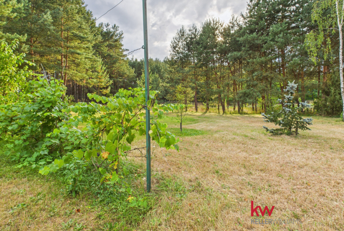Dom w otulinie Parku Krajobrazowego nad Wartą
