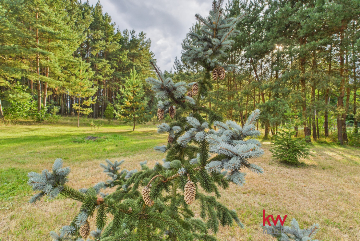 Dom w otulinie Parku Krajobrazowego nad Wartą