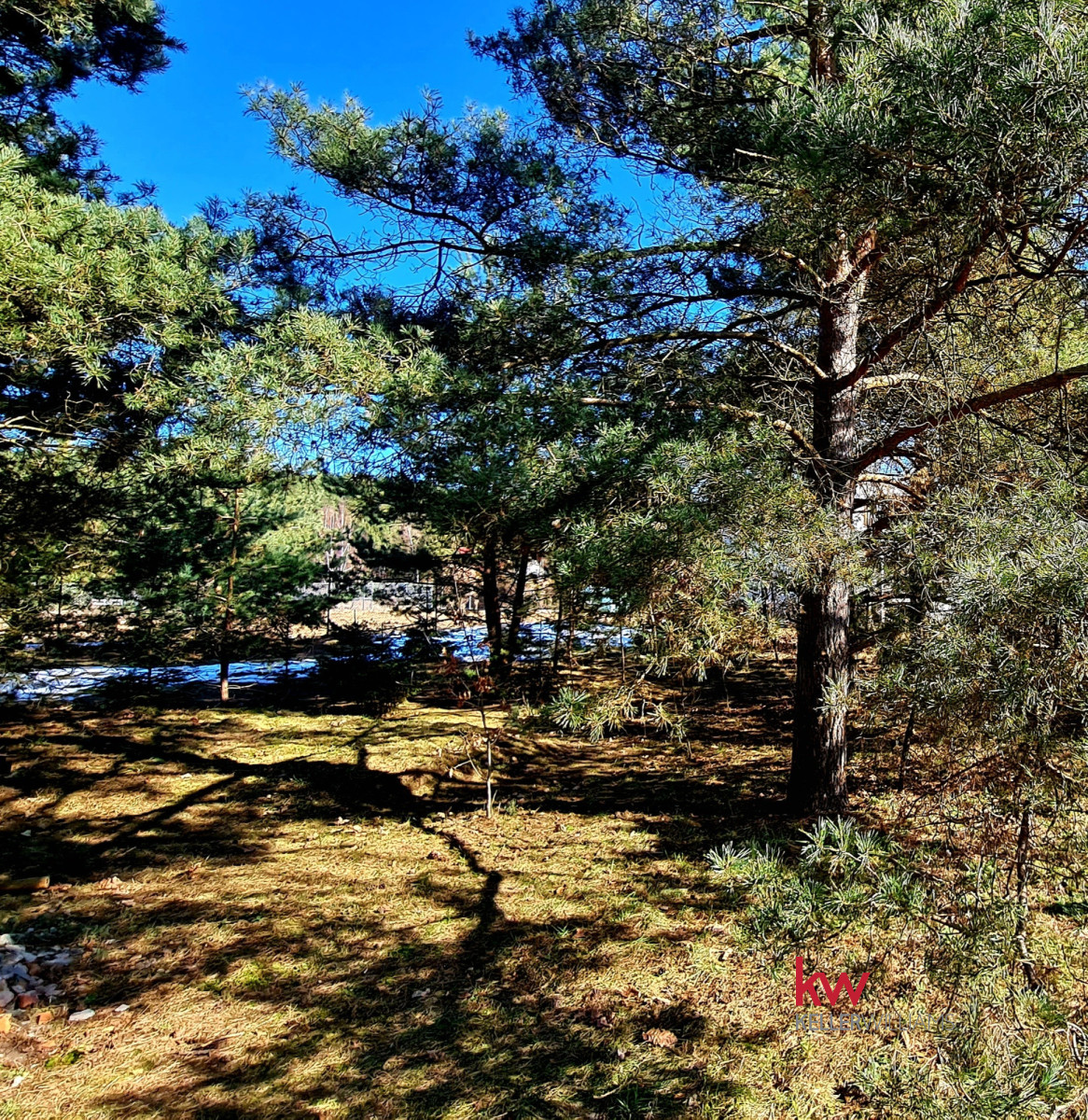 104651852 Działka 2000 m² plus własny sosnowy zakątek Ryjewo