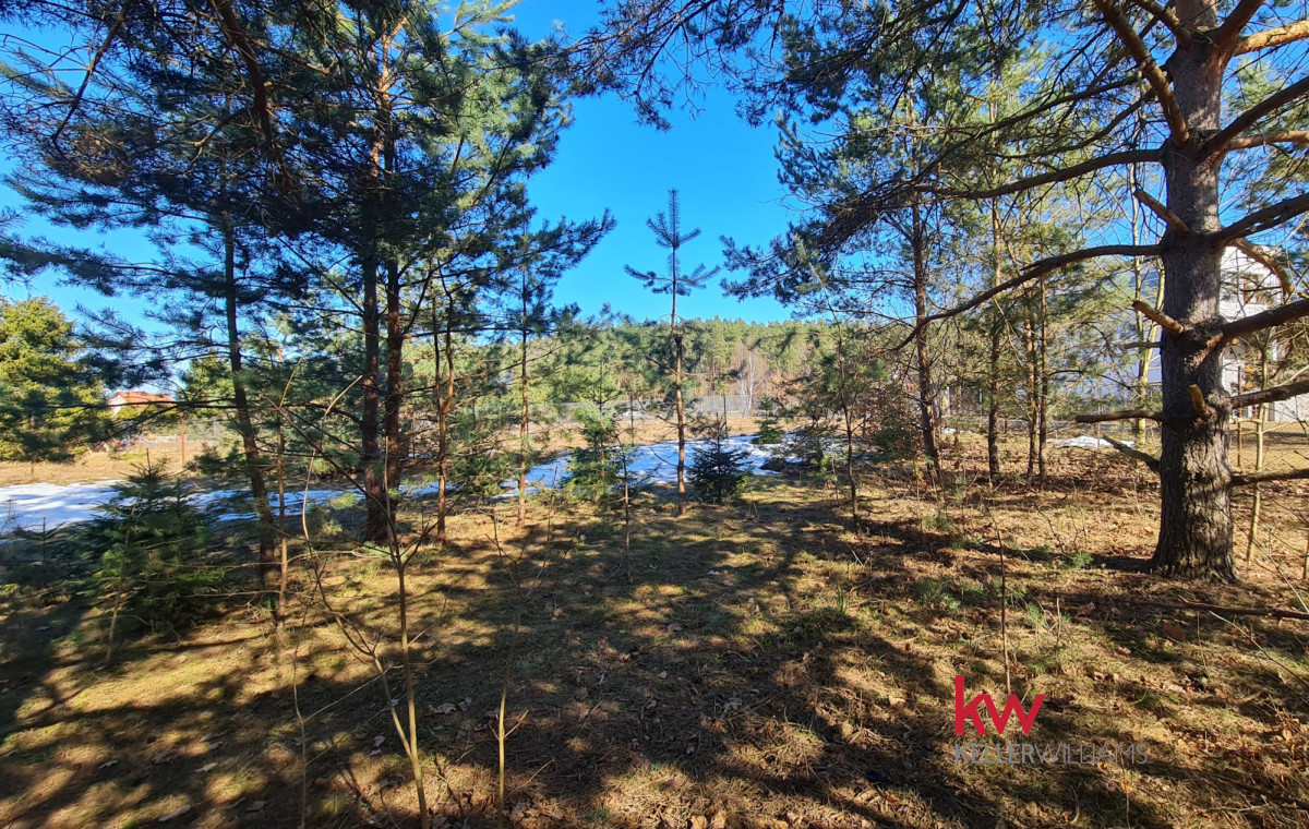 104651879 Działka 2000 m² plus własny sosnowy zakątek Ryjewo