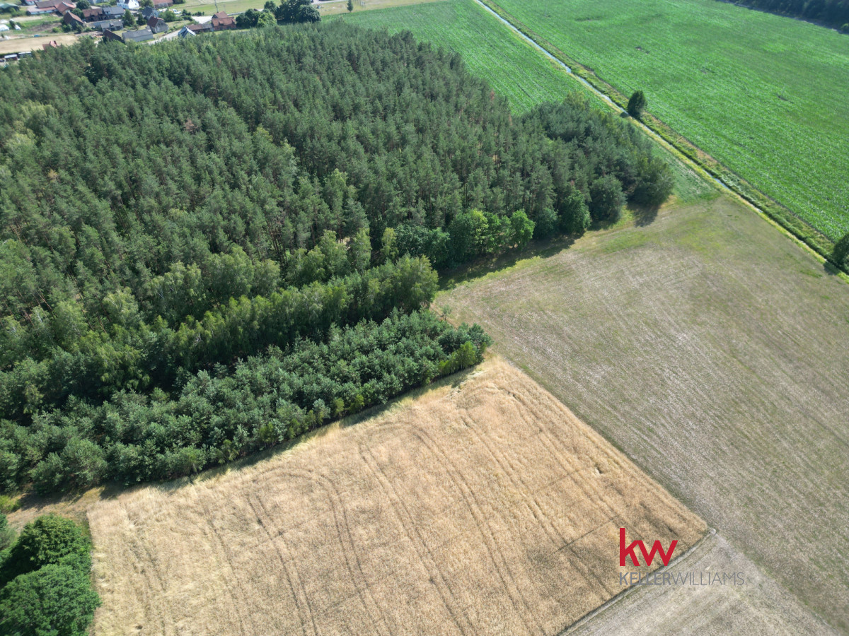 Działka budowlana Jerominy | Spokojna okolica
