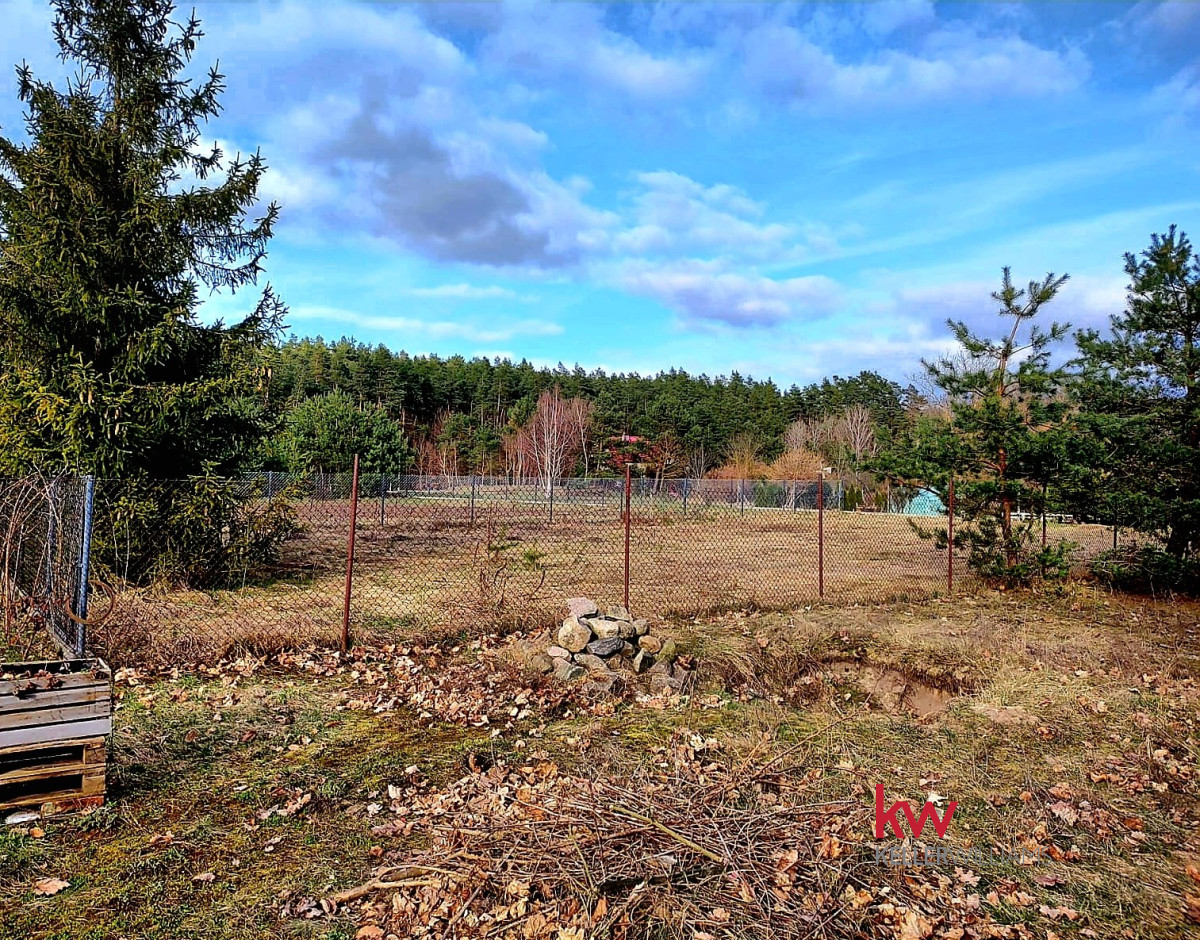 105647039 Działka 2000 m² plus własny sosnowy zakątek Ryjewo
