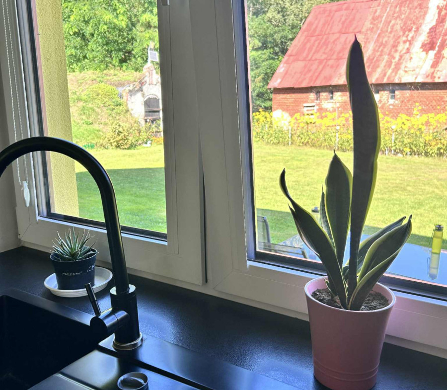 Siedlisko w Wandowie
