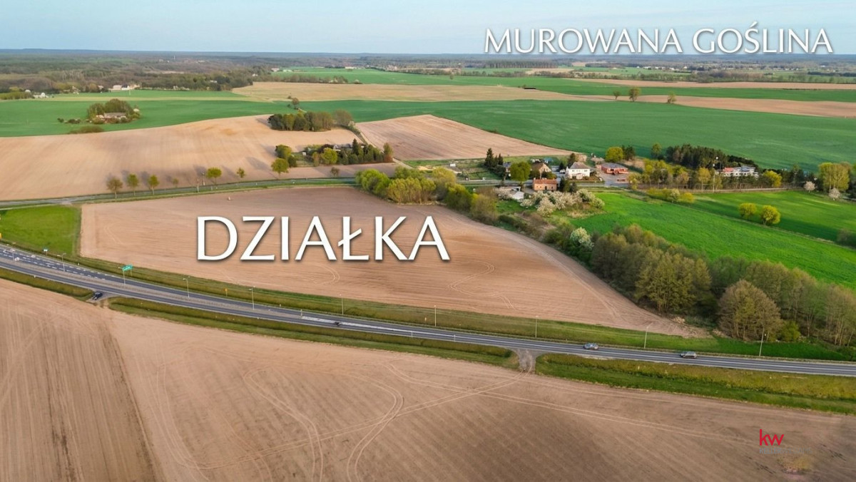 TEREN INWESTYCYJNY 3,8 HA POD PRODUKCJĘ, MAGAZYNY,