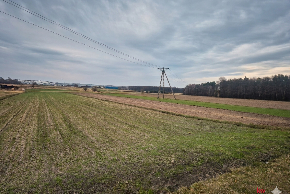 Tychy Cielmice | sprzedaż poniżej wyceny