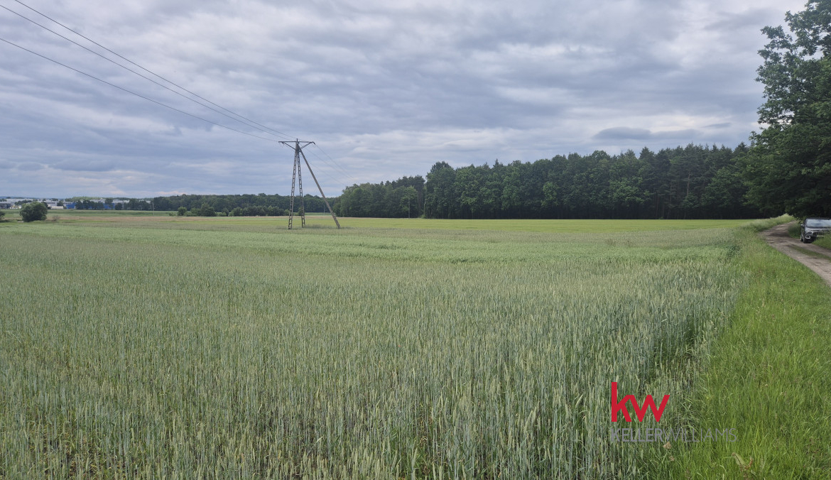 Działka pod lasem | Tychy ul. Barwna