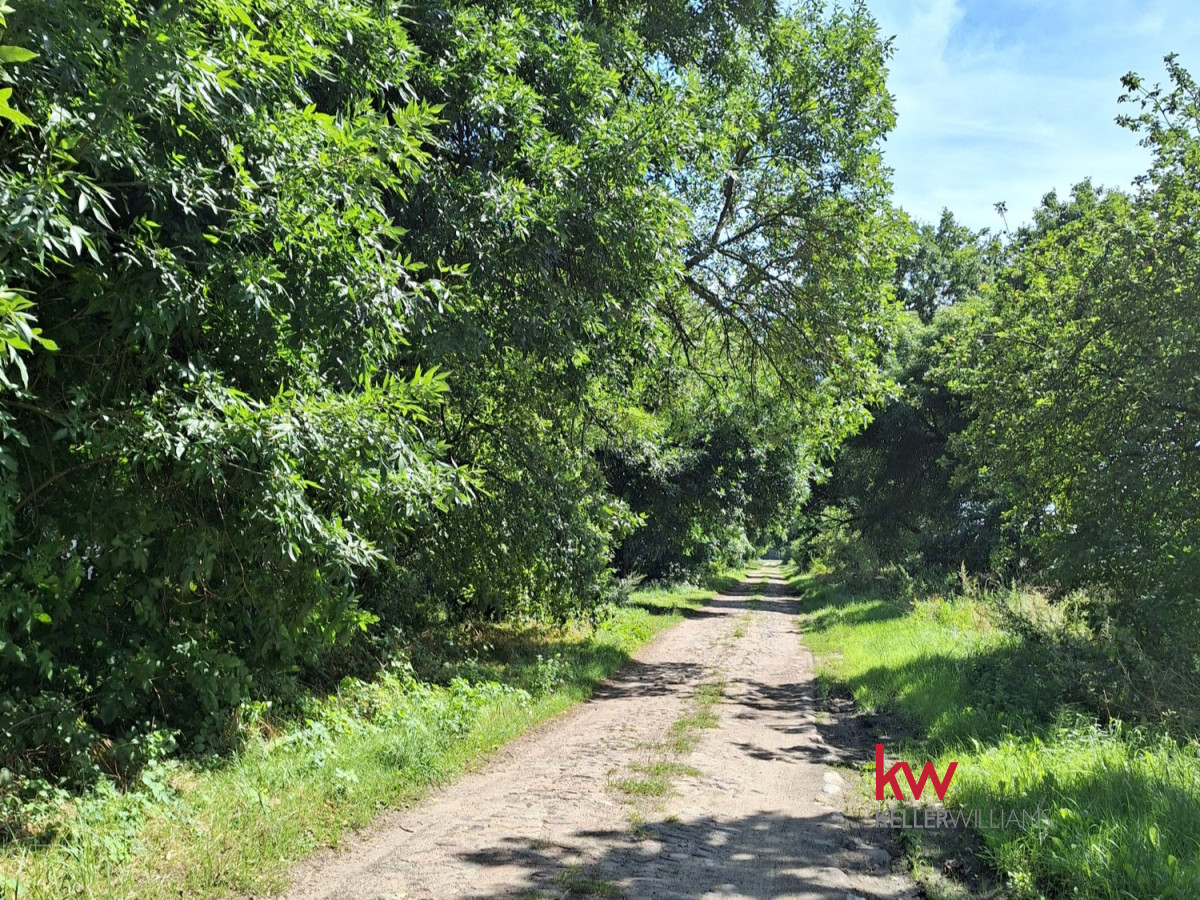 109518479 Urokliwa działka w otoczeniu natury