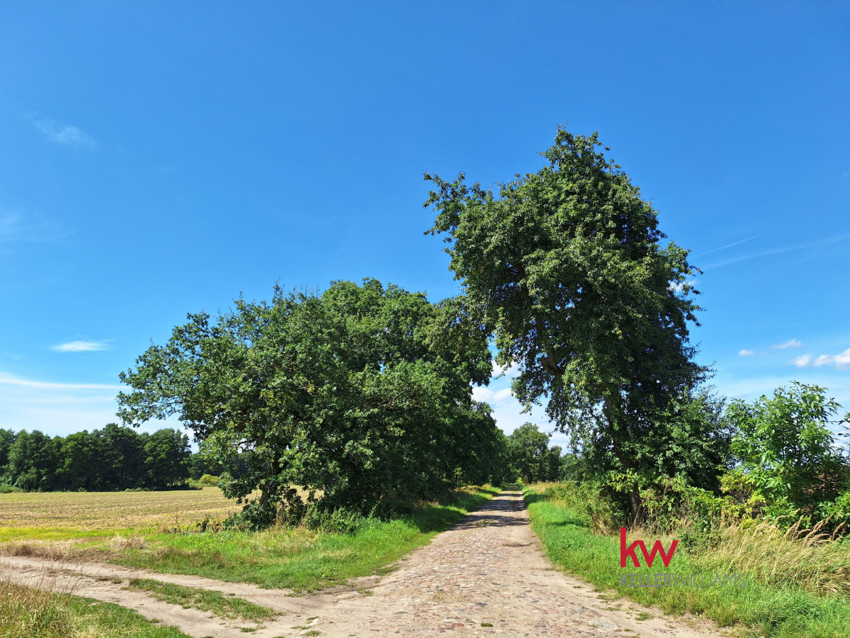 109518542 Urokliwa działka w otoczeniu natury