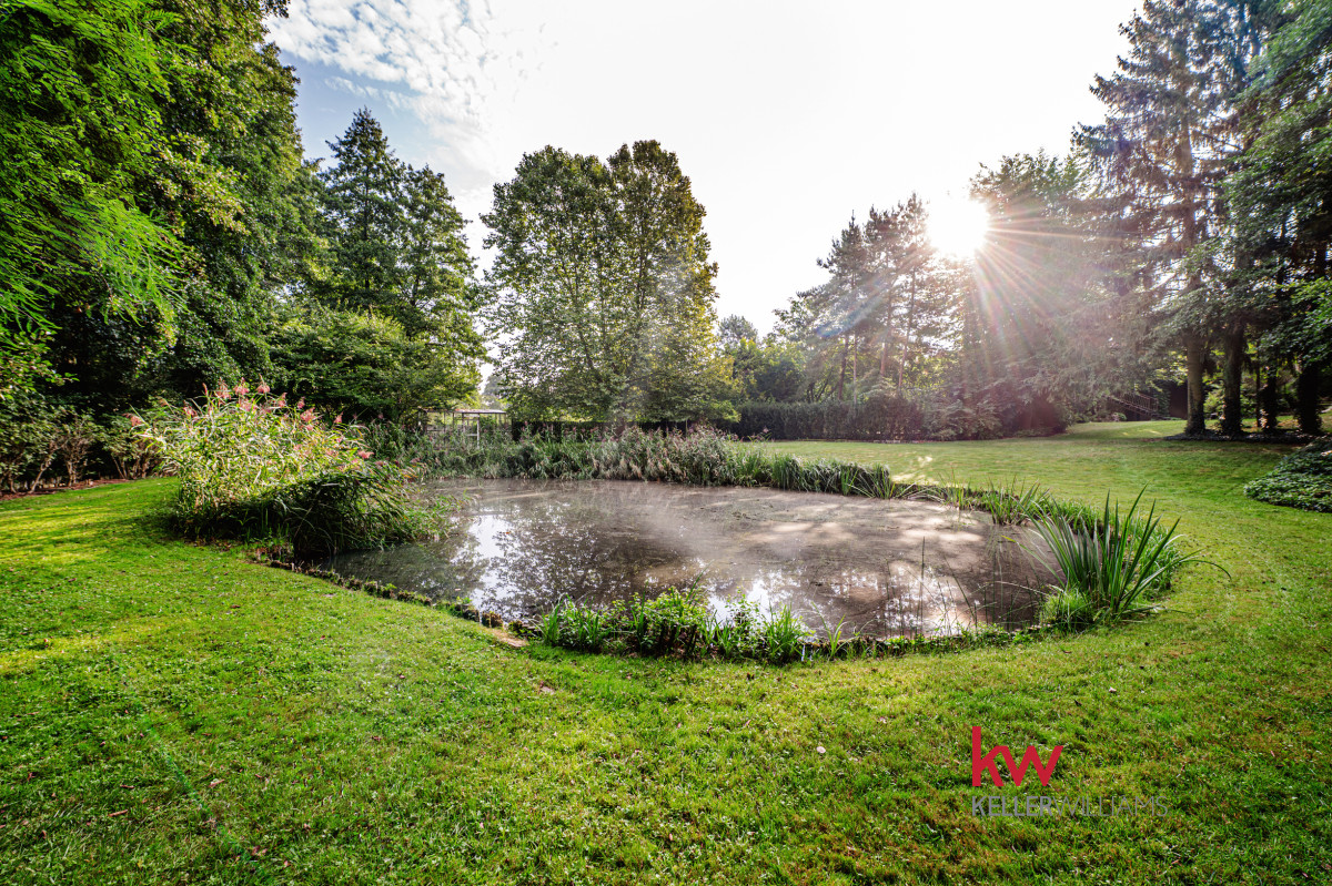 Posesja rezydencjonalna Staw | 2230 m² | Chyby