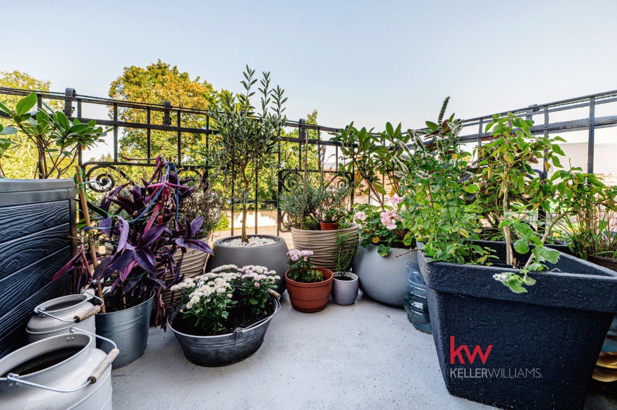 112 m² | 4 pokoje | Balkon | Kamienica | Gotowe do