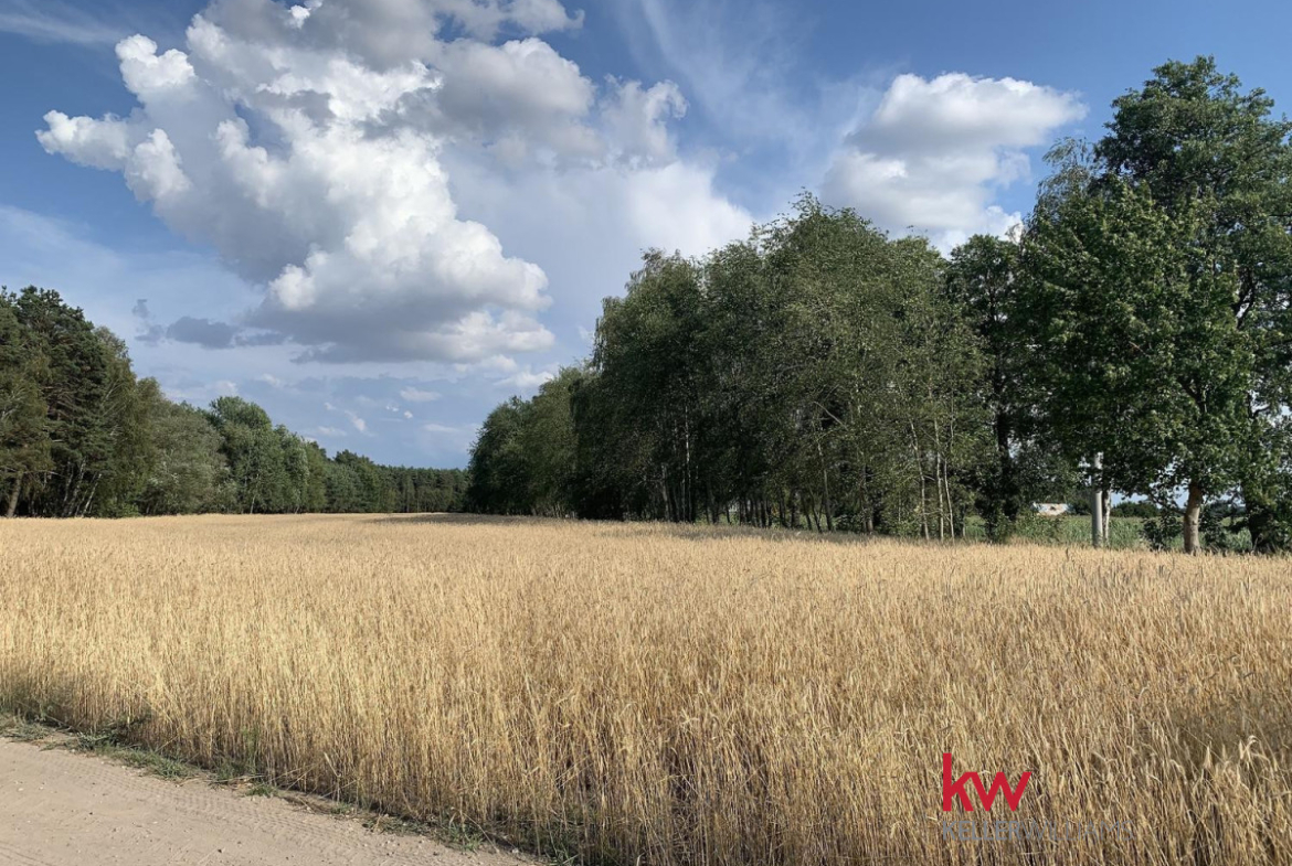 Atrakcyjna działka budowlana Łosiniec