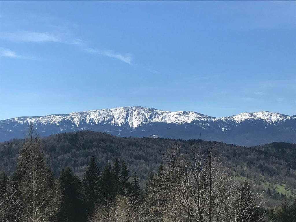 Siedlisko, teren w górach na sprzedaż