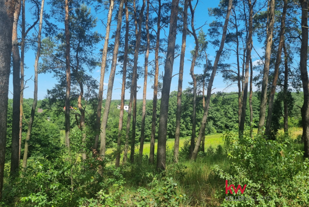 Działka budowlana Czerwonak ul. Zacisze