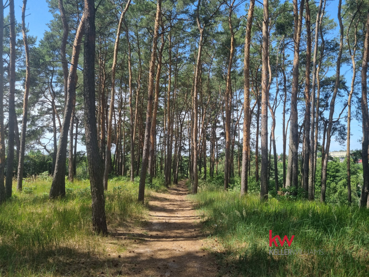 93909143 Działka budowlana Czerwonak ul. Zacisze